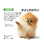 架空動物図鑑 vol.4(犬特集)（個別スタンプ：17）