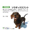 架空動物図鑑 vol.4(犬特集)（個別スタンプ：19）