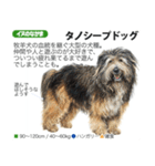 架空動物図鑑 vol.4(犬特集)（個別スタンプ：20）