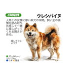 架空動物図鑑 vol.4(犬特集)（個別スタンプ：21）