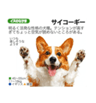 架空動物図鑑 vol.4(犬特集)（個別スタンプ：22）