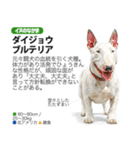 架空動物図鑑 vol.4(犬特集)（個別スタンプ：23）