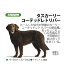 架空動物図鑑 vol.4(犬特集)（個別スタンプ：26）