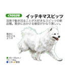 架空動物図鑑 vol.4(犬特集)（個別スタンプ：27）