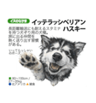 架空動物図鑑 vol.4(犬特集)（個別スタンプ：28）