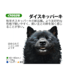 架空動物図鑑 vol.4(犬特集)（個別スタンプ：29）