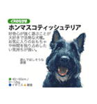 架空動物図鑑 vol.4(犬特集)（個別スタンプ：30）