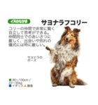 架空動物図鑑 vol.4(犬特集)（個別スタンプ：33）