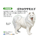架空動物図鑑 vol.4(犬特集)（個別スタンプ：35）