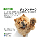 架空動物図鑑 vol.4(犬特集)（個別スタンプ：37）