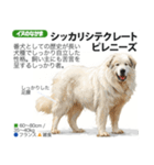 架空動物図鑑 vol.4(犬特集)（個別スタンプ：38）