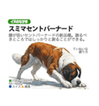 架空動物図鑑 vol.4(犬特集)（個別スタンプ：39）