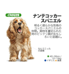 架空動物図鑑 vol.4(犬特集)（個別スタンプ：40）