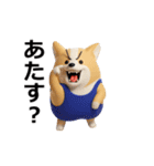 動く 3D猛コーギー（個別スタンプ：7）