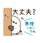 ず～っと使えるシマエナガのやさしい長文♪（個別スタンプ：16）