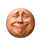 顔文字くん 12 (写実バージョン)（個別スタンプ：24）