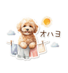 水彩画ステッカー風トイプードルのスタンプ（個別スタンプ：1）