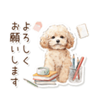 水彩画ステッカー風トイプードルのスタンプ（個別スタンプ：13）