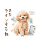 水彩画ステッカー風トイプードルのスタンプ（個別スタンプ：16）