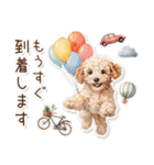 水彩画ステッカー風トイプードルのスタンプ（個別スタンプ：19）