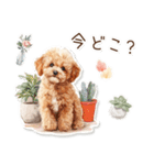水彩画ステッカー風トイプードルのスタンプ（個別スタンプ：21）