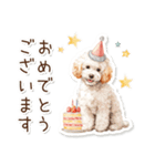 水彩画ステッカー風トイプードルのスタンプ（個別スタンプ：26）