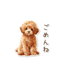 水彩画ステッカー風トイプードルのスタンプ（個別スタンプ：29）