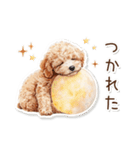 水彩画ステッカー風トイプードルのスタンプ（個別スタンプ：37）