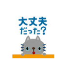 絵本みたいな[動く]ちびねこ注意喚起（個別スタンプ：3）