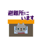 絵本みたいな[動く]ちびねこ注意喚起（個別スタンプ：15）