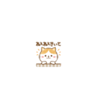 ミニミニサイズ★ゆるねこその28【日常】（個別スタンプ：23）