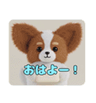 プレミアム福袋36（個別スタンプ：31）