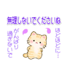 ちびころにゃんの優しい敬語（個別スタンプ：8）