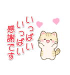 ちびころにゃんの優しい敬語（個別スタンプ：23）