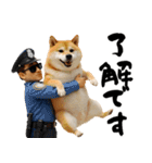 ぽっちゃりした柴犬がダイエット！（個別スタンプ：1）