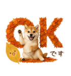 大人かわいい秋の癒し柴犬（個別スタンプ：3）
