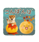 大人かわいい秋の癒し柴犬（個別スタンプ：6）