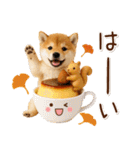 大人かわいい秋の癒し柴犬（個別スタンプ：9）
