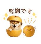 大人かわいい秋の癒し柴犬（個別スタンプ：11）