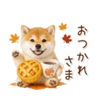 大人かわいい秋の癒し柴犬（個別スタンプ：13）