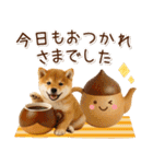 大人かわいい秋の癒し柴犬（個別スタンプ：14）