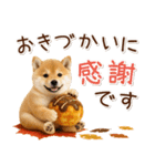 大人かわいい秋の癒し柴犬（個別スタンプ：15）