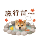 大人かわいい秋の癒し柴犬（個別スタンプ：17）