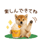 大人かわいい秋の癒し柴犬（個別スタンプ：20）