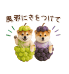 大人かわいい秋の癒し柴犬（個別スタンプ：25）