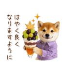 大人かわいい秋の癒し柴犬（個別スタンプ：27）