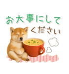 大人かわいい秋の癒し柴犬（個別スタンプ：28）