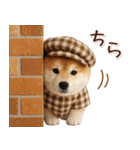 大人かわいい秋の癒し柴犬（個別スタンプ：29）