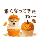 大人かわいい秋の癒し柴犬（個別スタンプ：30）