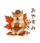 大人かわいい秋の癒し柴犬（個別スタンプ：32）